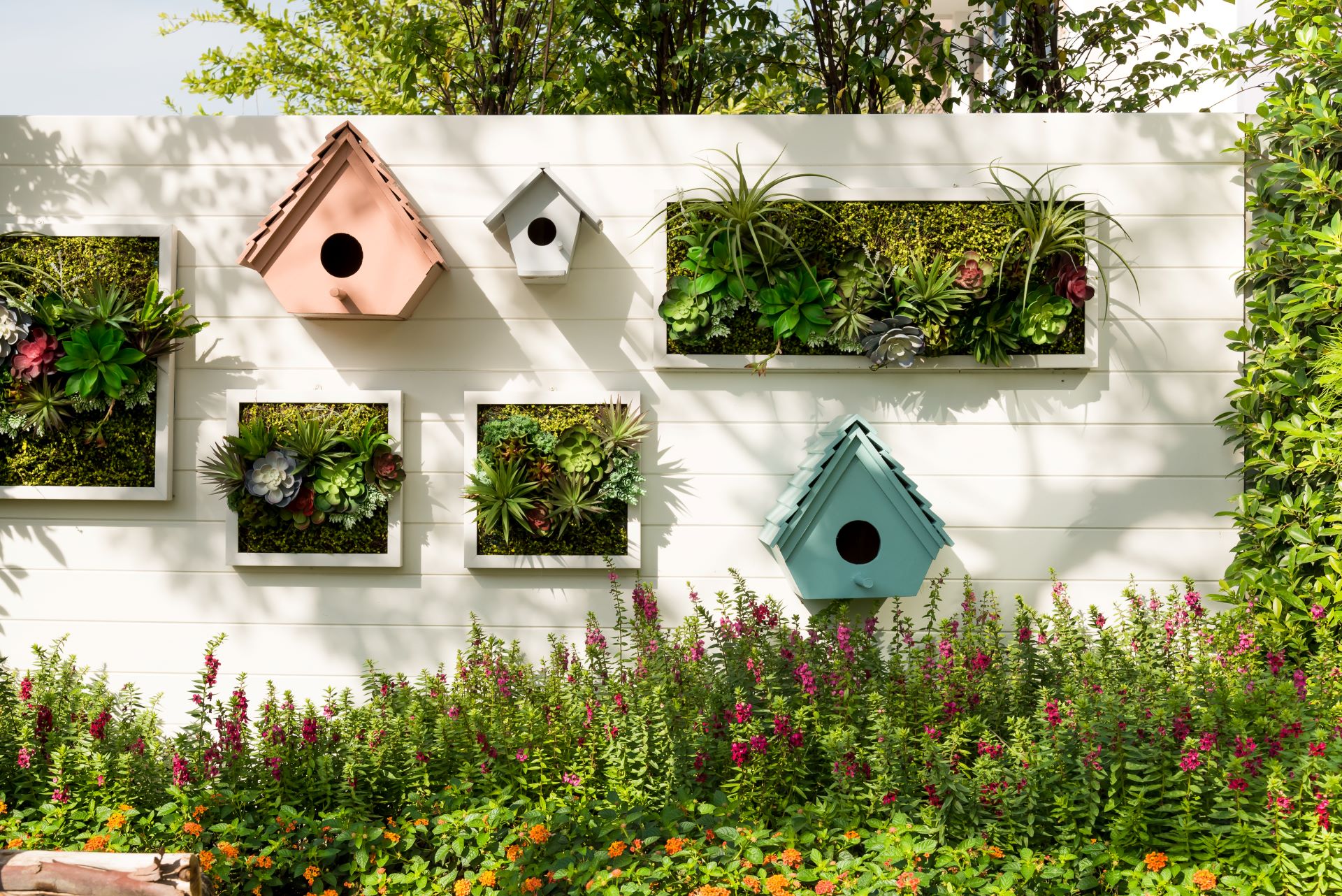 Vogelhäuser und vertikale Gärten verschönern eine weiße Gartenwand, die einen Holzpool ergänzt.