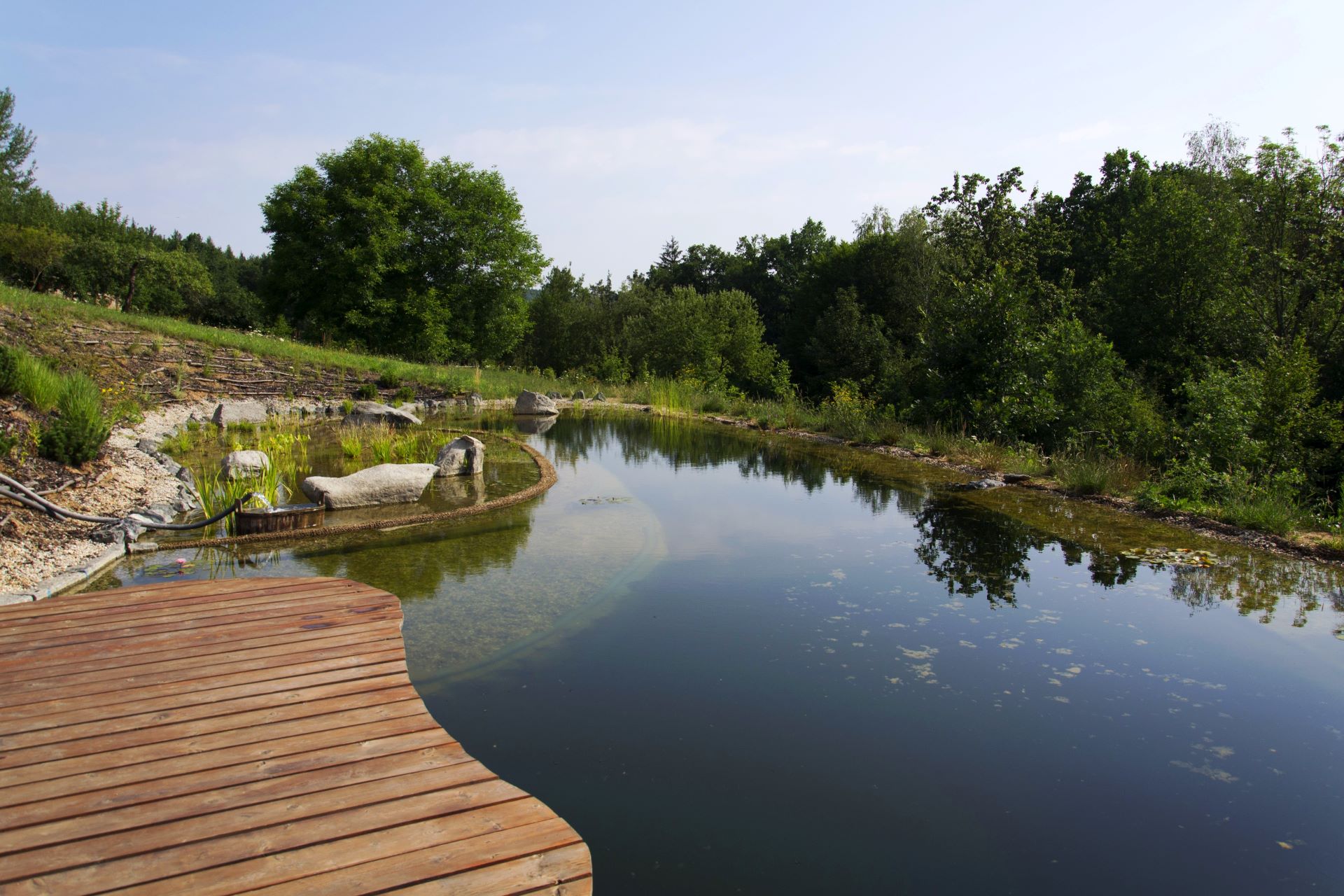 Ein natürlicher Schwimmteich, umgeben von grünen Bäumen und Steinen, bietet eine ruhige Alternative zu traditionellen Holzpools.