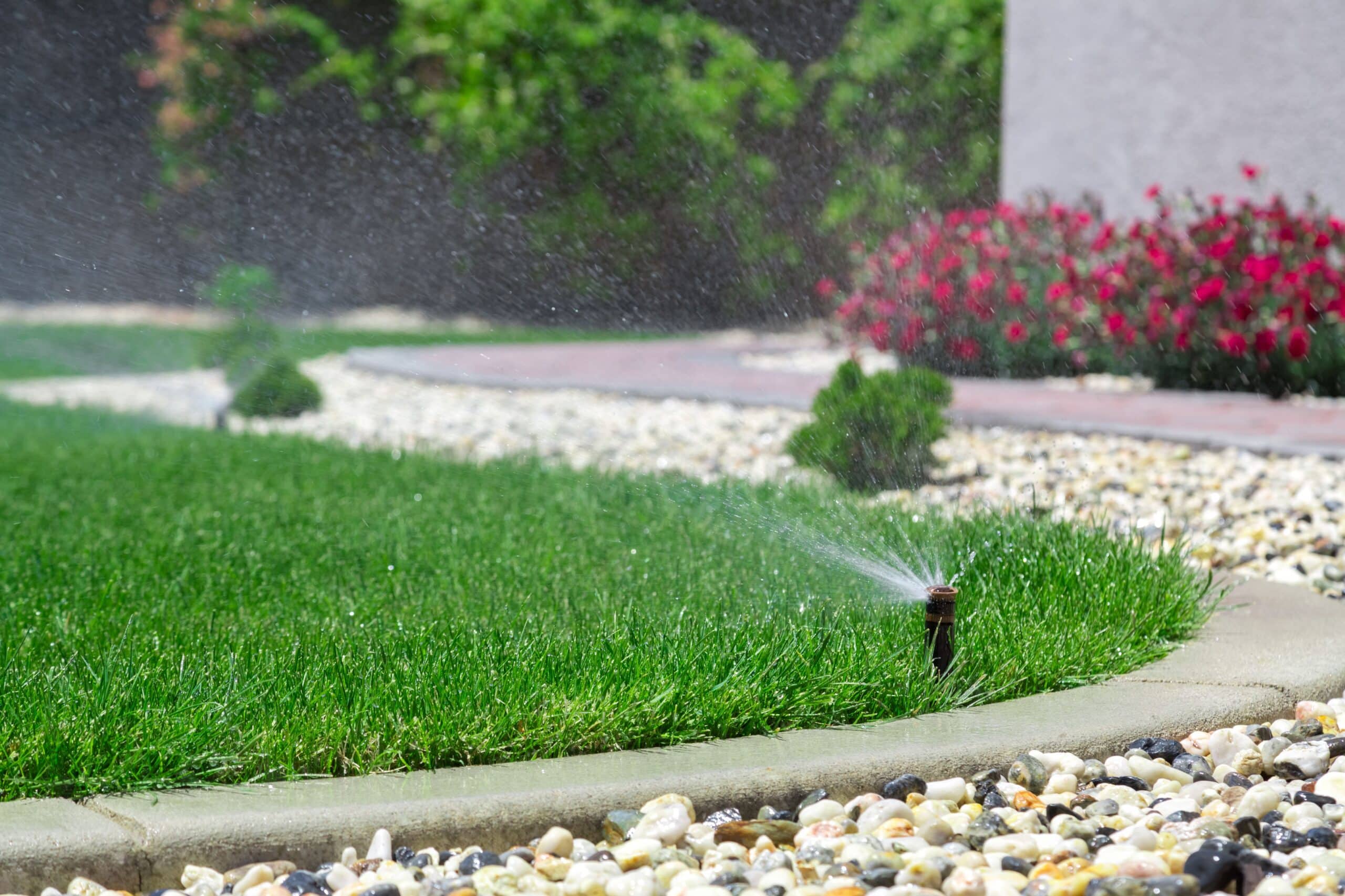 Ein Garten wird gedüngt mit einem Bewässerungssystem