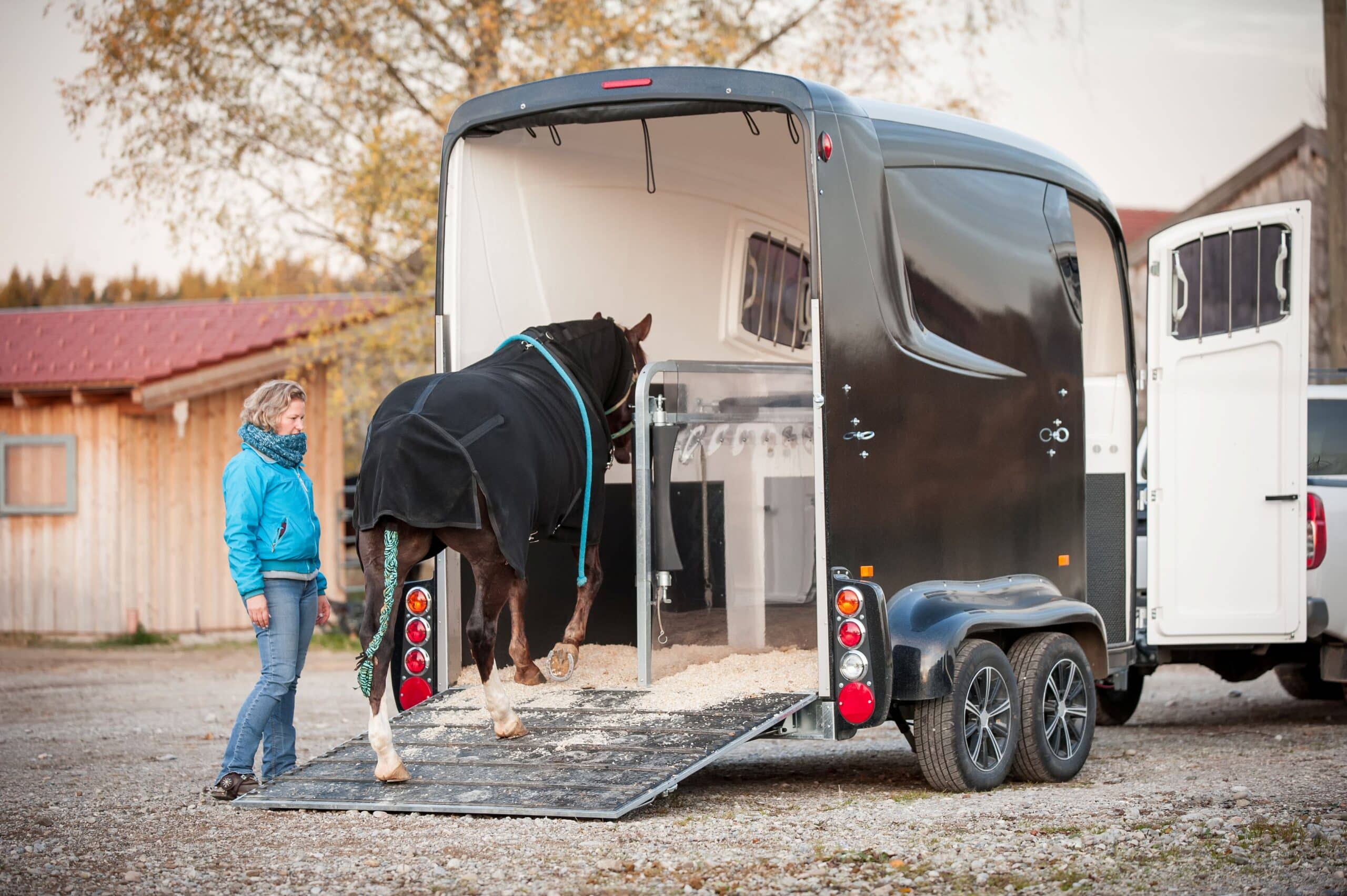 A person leads a horse into a horse trailer to transport the horse and take it somewhere else